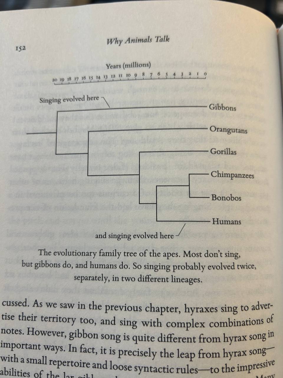 photo_2024-09-18 11.18.06.jpeg
